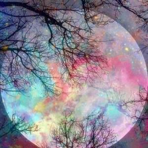 Meet your Posher, Elle